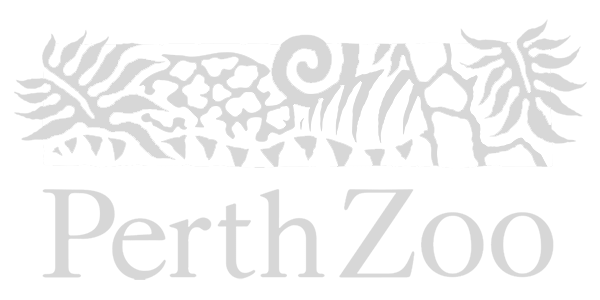 Perth Zoo